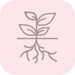درباره هرمد