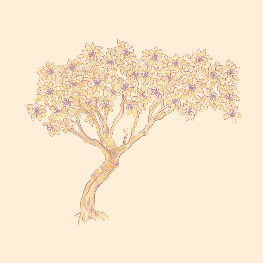 داستان باد و رنگ
