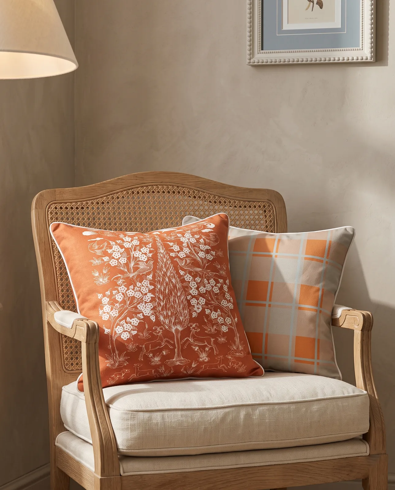 jeyran-orange-03