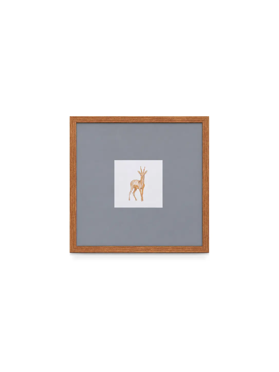 frame-01