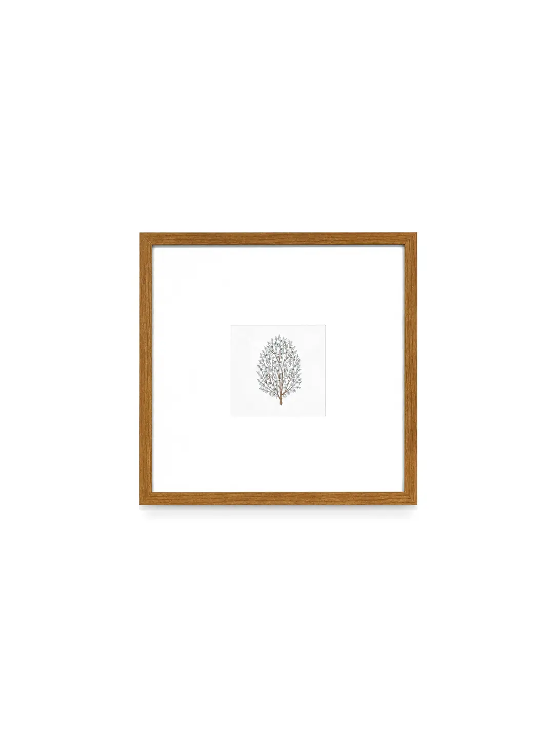 frame-13