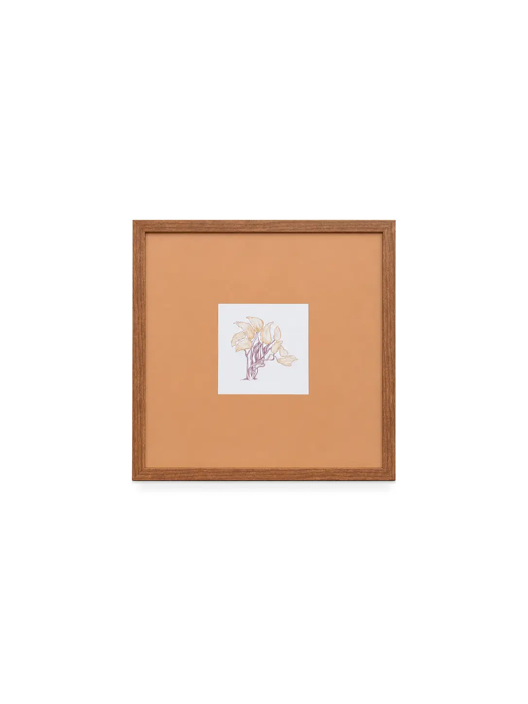 frame-28