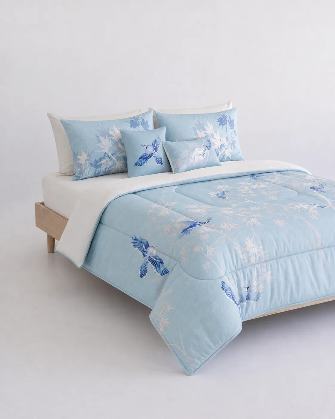 icy-blue-birds-studio-01